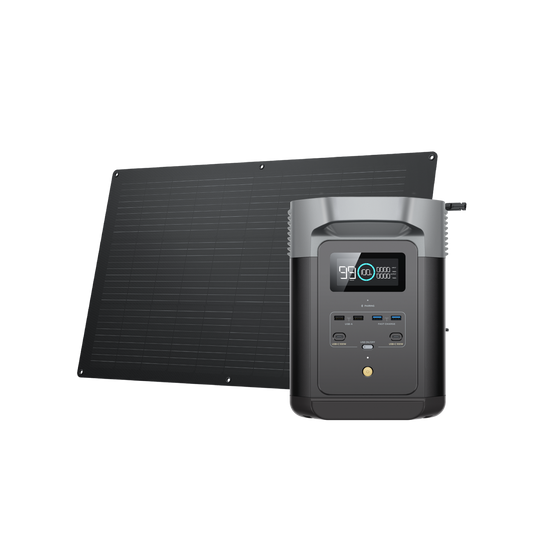 EcoFlow DELTA 2 960 Solar Generator (100W Flexible)